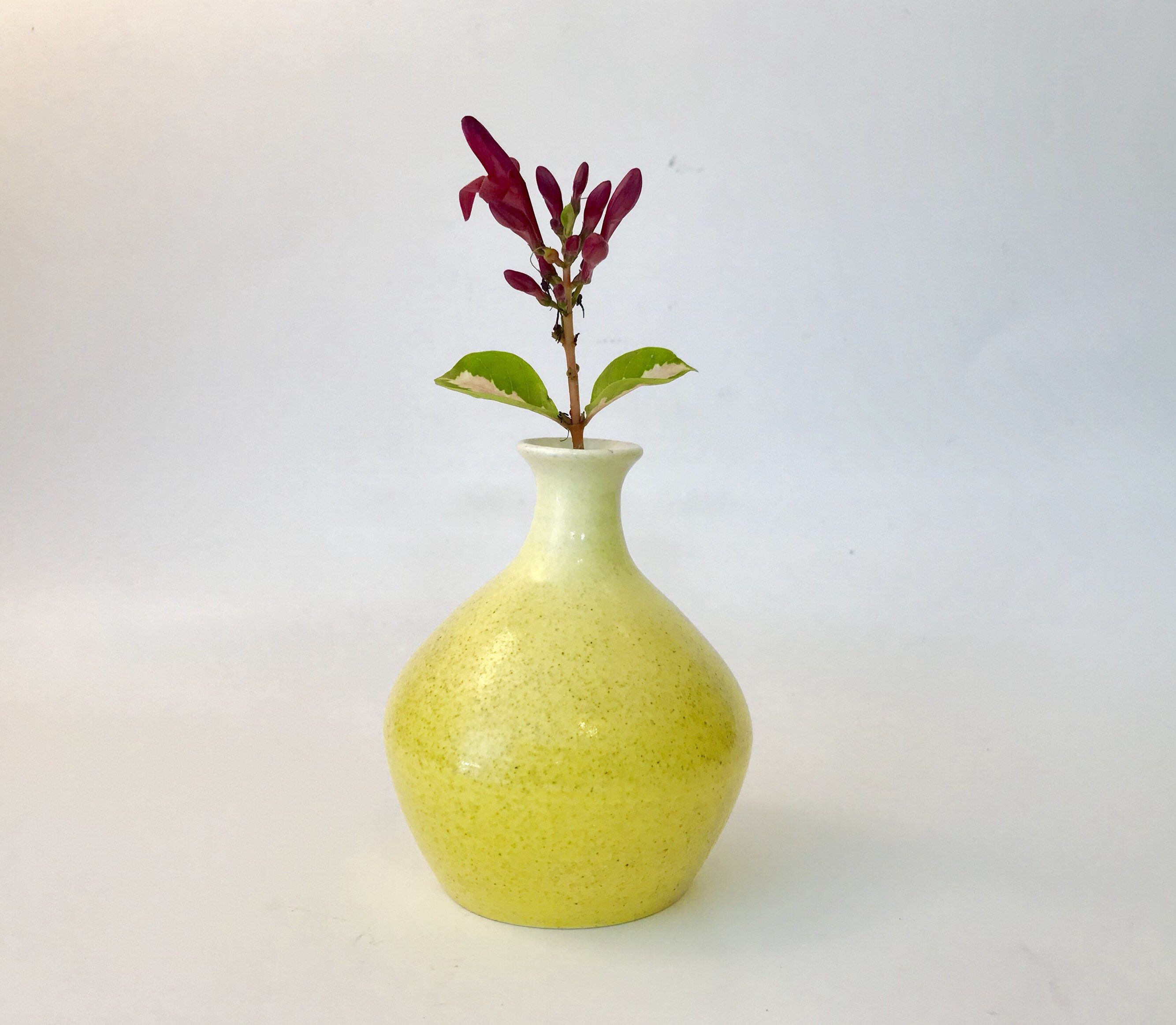 16 attractive Small Yellow Bud Vases 2024 free download small yellow bud vases of ceramic bud vase yellow white speckled pottery vase dots glazed regarding small handmade ceramic bud vase yellow white speckled pottery vase dots glazed flower