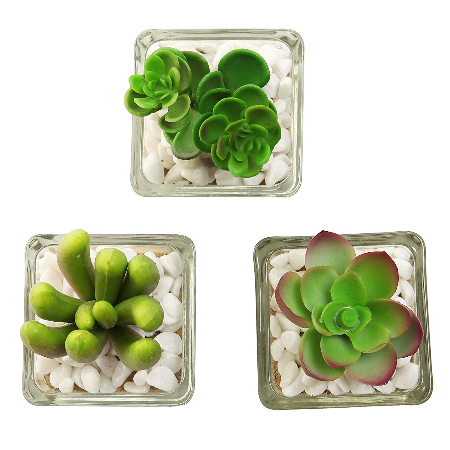 24 Fantastic Square Glass Vase Set 2024 free download square glass vase set of amazon com set of 3 modern home decor mini artificial succulent within amazon com set of 3 modern home decor mini artificial succulent plants potted in glass cube sh