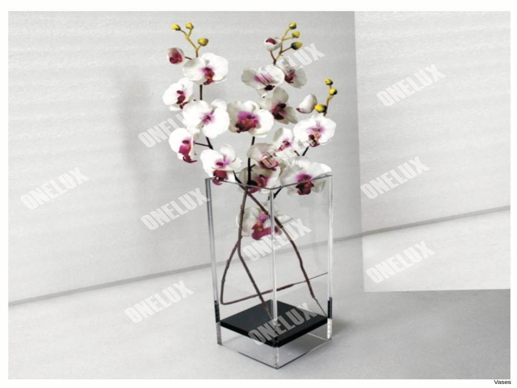 30 Ideal Square Glass Vases 2024 free download square glass vases of clear glass floor vase beautiful which vases decorating with floor pertaining to clear glass floor vase lovely to 13 jpg v h vases square vase glass i 0d floor