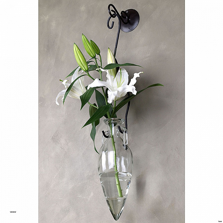 24 Awesome Square Glass Wall Vase 2023 free download square glass wall vase of wall sconces wall sconce vase beautiful ao3 210h vases hurricane for full size of wall sconcesinspirational wall sconce vase wall sconce vase awesome il fullxfull