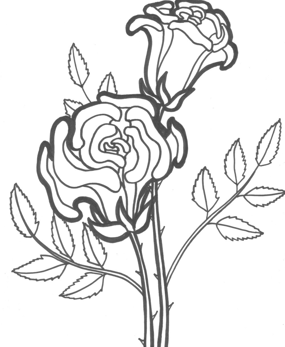 17 Lovely Star Wars Flower Vase 2024 free download star wars flower vase of coloring pages of roses vases flower vase coloring page pages pertaining to coloring pages of roses high quality image coloring pages roses and flowers with new