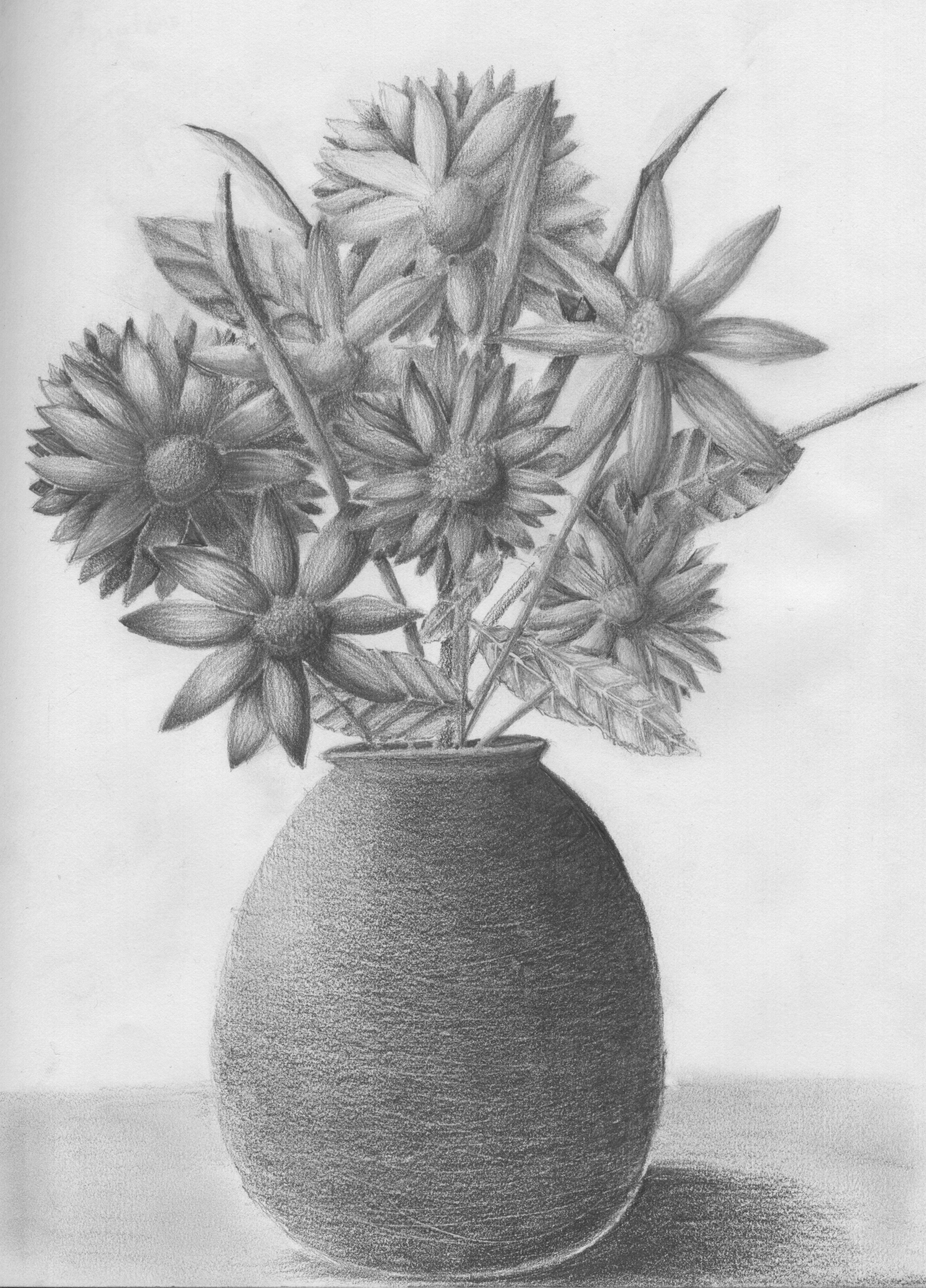 still life flowers in a vase of flower vase image drawing flowers healthy throughout drawn vase pencil drawing pencil and in color drawn vase pencil