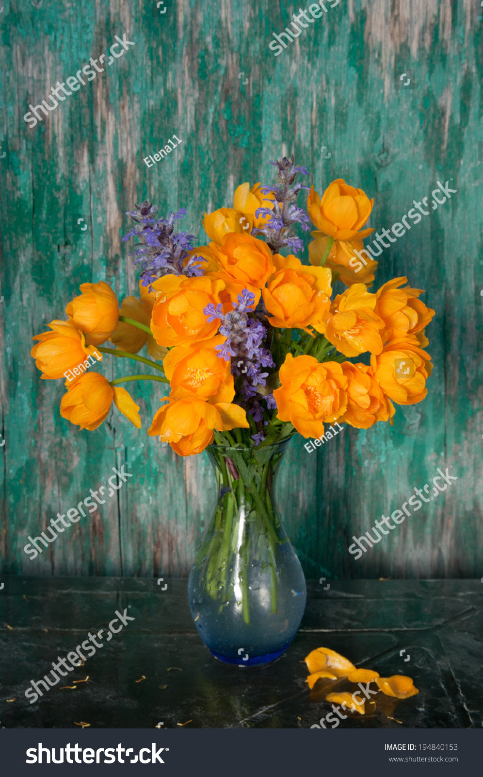 16 attractive Still Life Vase Of Flowers 2024 free download still life vase of flowers of still life bouquet globe flowers stock photo edit now 194840153 with regard to still life bouquet with globe flowers