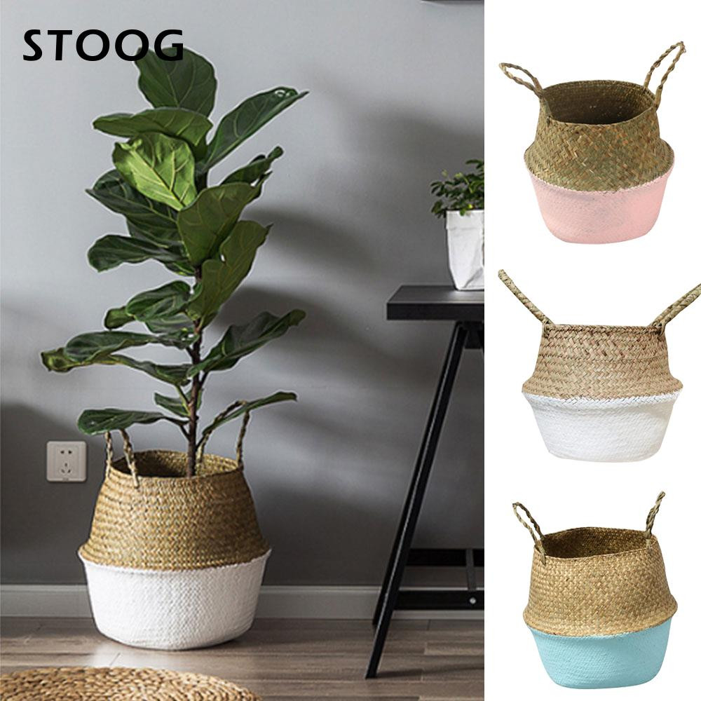 30 Lovely Stone Vases for Sale 2024 free download stone vases for sale of 15cm clear round glass vase bottle terrarium container planter pot with creative plant flower pots woven handheld toy storage foldable basket handle bag multicolor wi