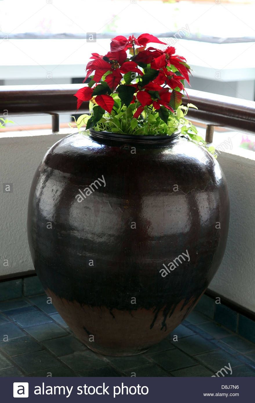 30 Perfect Stony Creek Vases 2024 free download stony creek vases of wide glass vase image paint a picture luxury h vases paint vase i 0d within wide glass vase pictures corner big flower vase vase pinterest of wide glass vase image paint