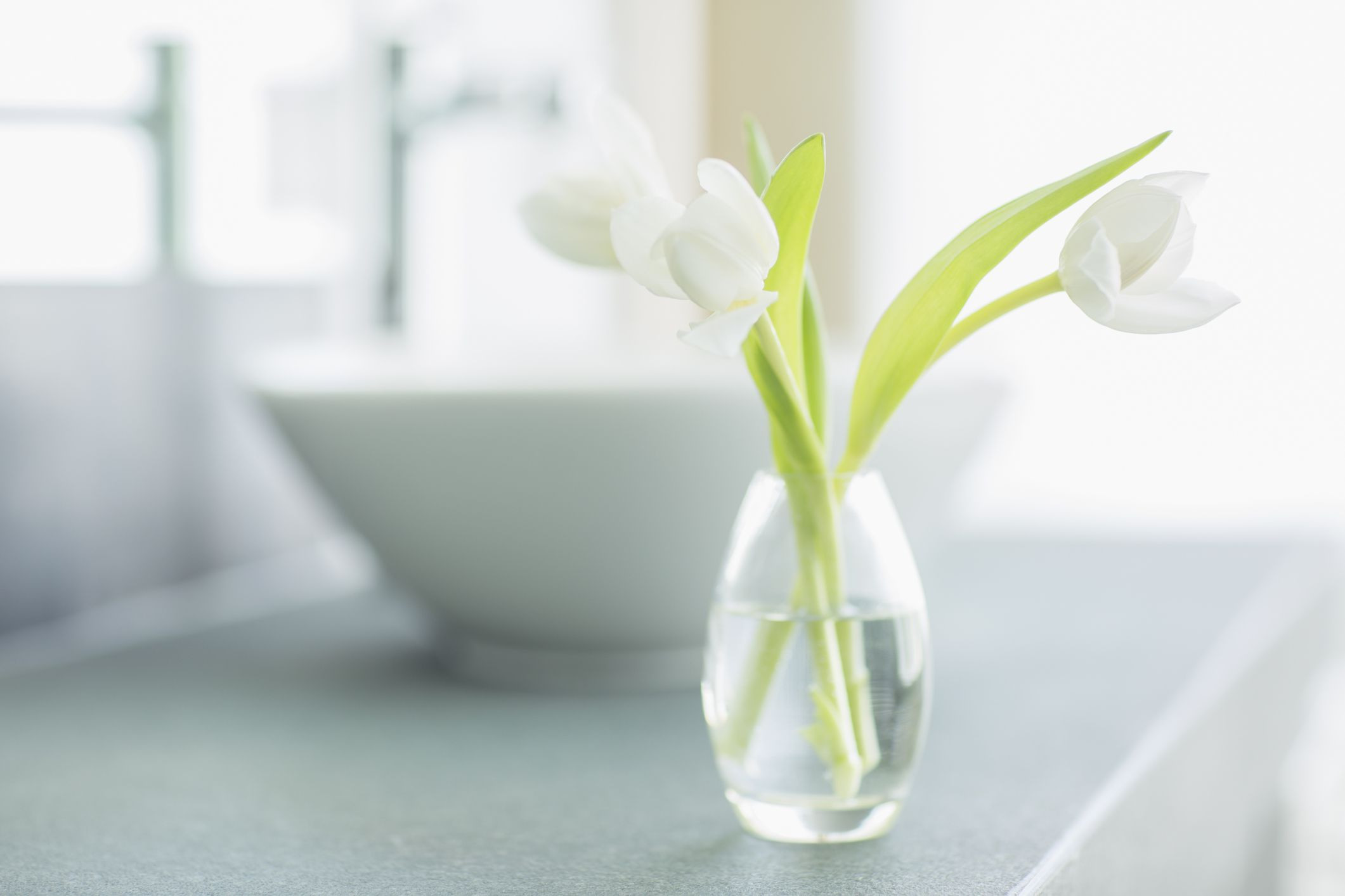 15 Lovable Suction Cup Window Vase 2024 free download suction cup window vase of how to organize your bathroom with gettyimages 494358345 59428b865f9b58d58a18879a