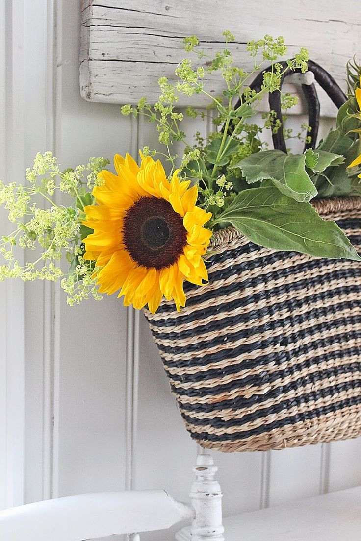 11 Stylish Tall Sunflower Vase 2024 free download tall sunflower vase of 338 best girasoles images on pinterest sunflowers beautiful with regard to pretty sunflowers everywhere