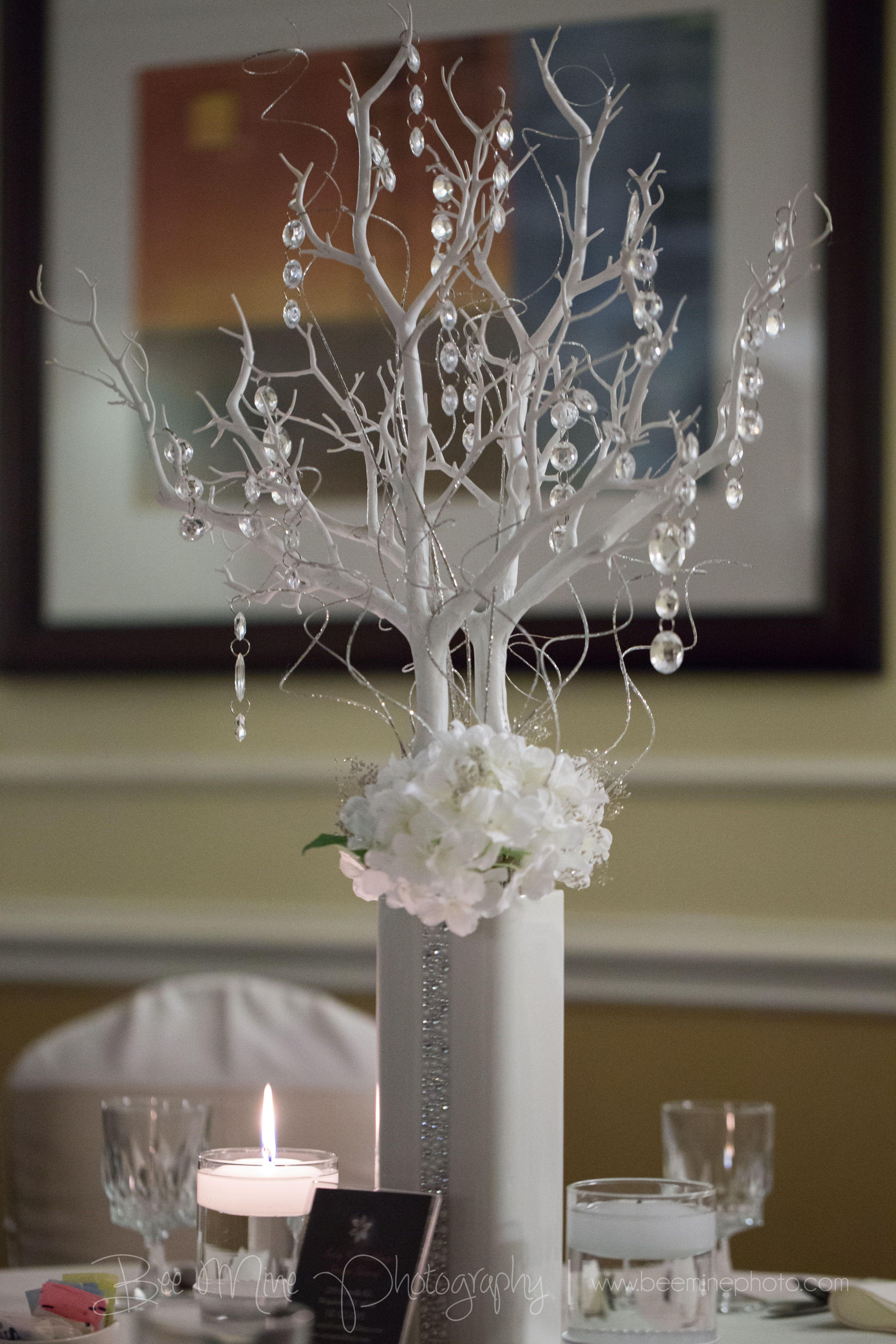 Tall Thin Vase Of Decorative Twig Tree New Dollar Tree Wedding Decorations Awesome H Throughout Decorative Twig Tree New Dollar Tree Wedding Decorations Awesome H Vases Dollar Vase I 0d