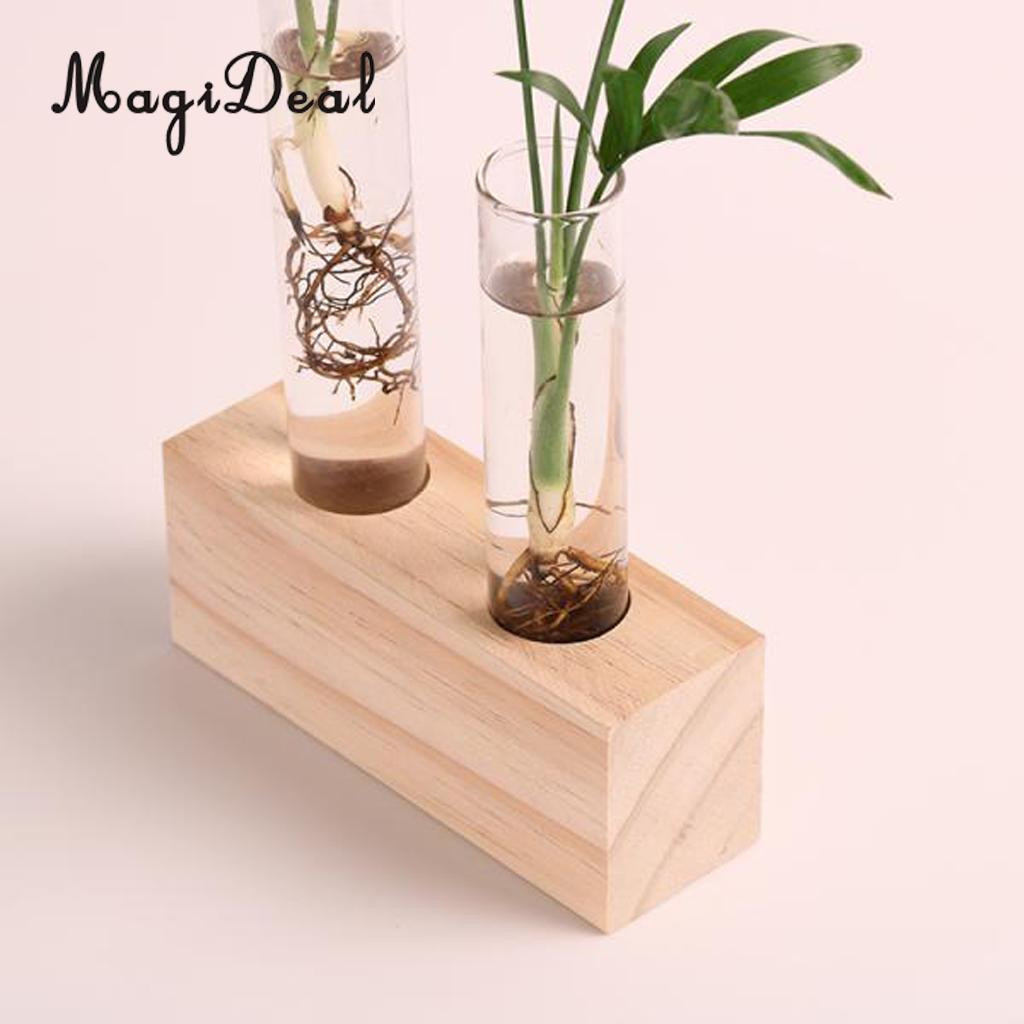 26 Spectacular Test Tube Bud Vase 2024 free download test tube bud vase of 2pcs plant test tube flower bud vase in wooden stand perfect for pertaining to 2pcs plant test tube flower bud vase in wooden stand perfect for hydroponic plants home g