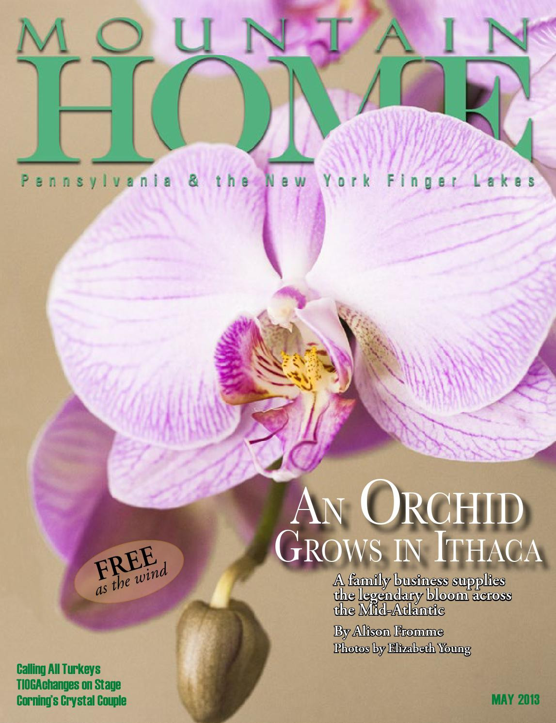 18 Cute the Empty Vase Florist Little Rock Ar 2024 free download the empty vase florist little rock ar of may 2013 by mountain home issuu with regard to page 1