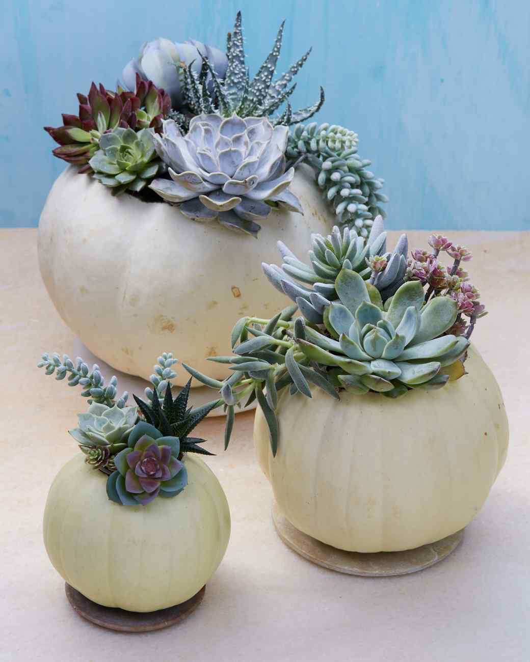 29 Perfect Three Hands Corp Ceramic Vase 2024 free download three hands corp ceramic vase of fall harvest decorating in pumpkin succulents