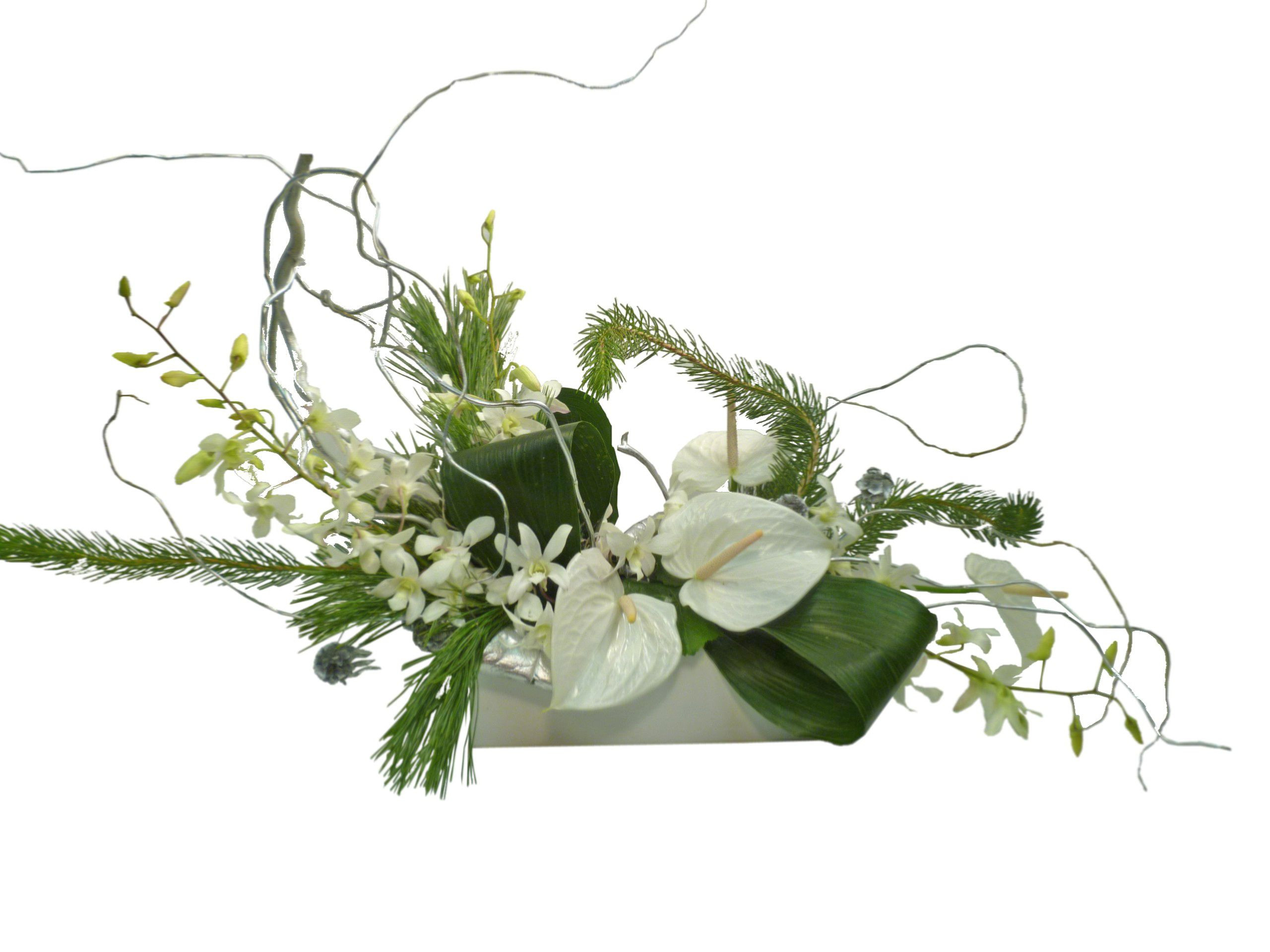 19 Lovable Tree Branch Vase 2022 free download tree branch vase of 31 modern vase and gift the weekly world in flower arrangements ideas modern flowers healthy