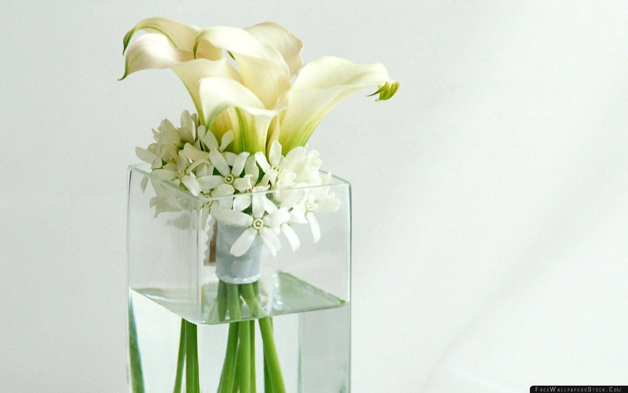 trumpet vases cheap of all white decorating ideas for party simple tall vase centerpiece regarding all white decorating ideas for party simple tall vase centerpiece ideas vases flowers in water 0d