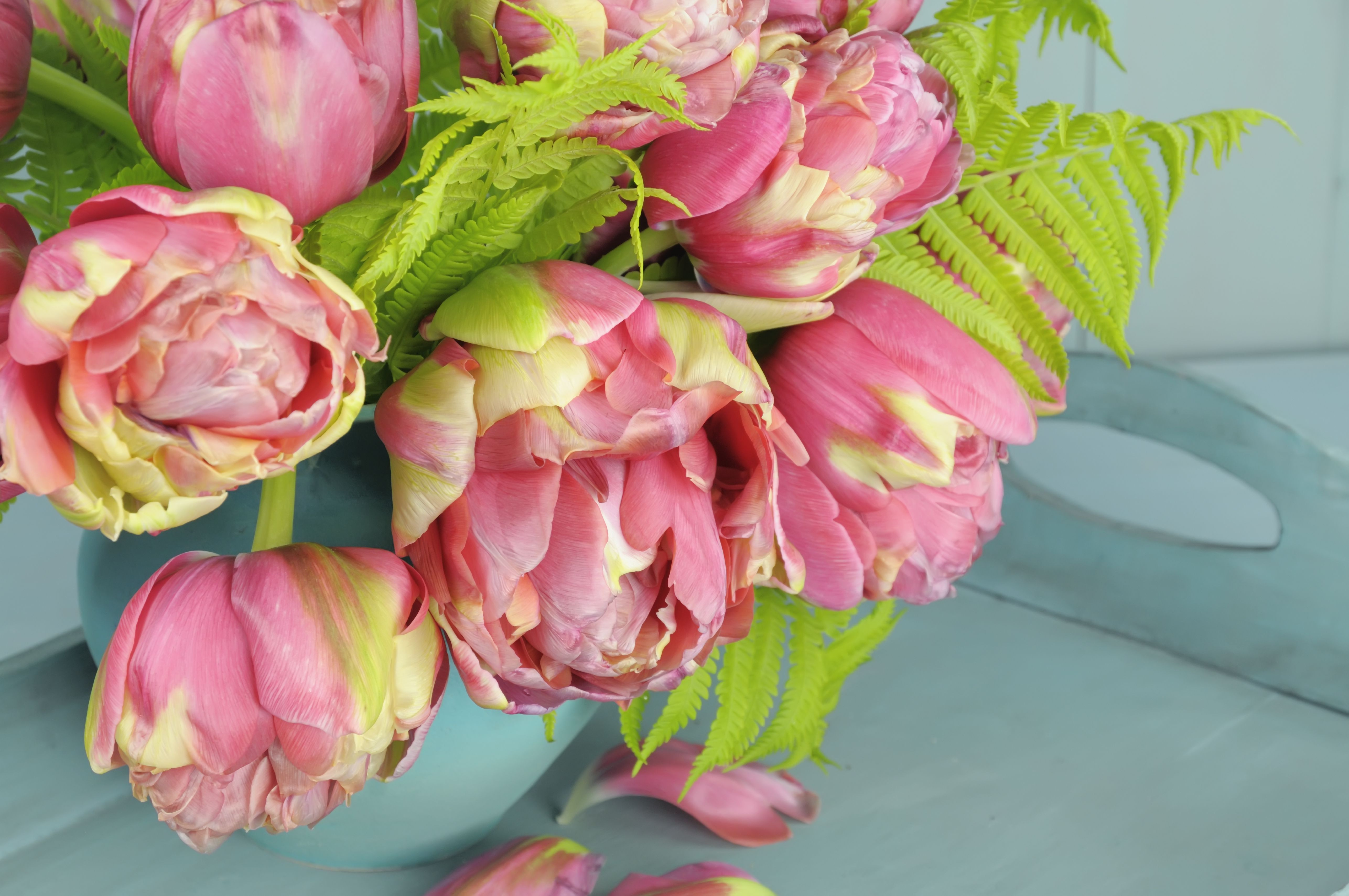 tulip bulb vase of 10 tulip varieties for the spring garden for bouquet of pink peony tulips in turquoise vase