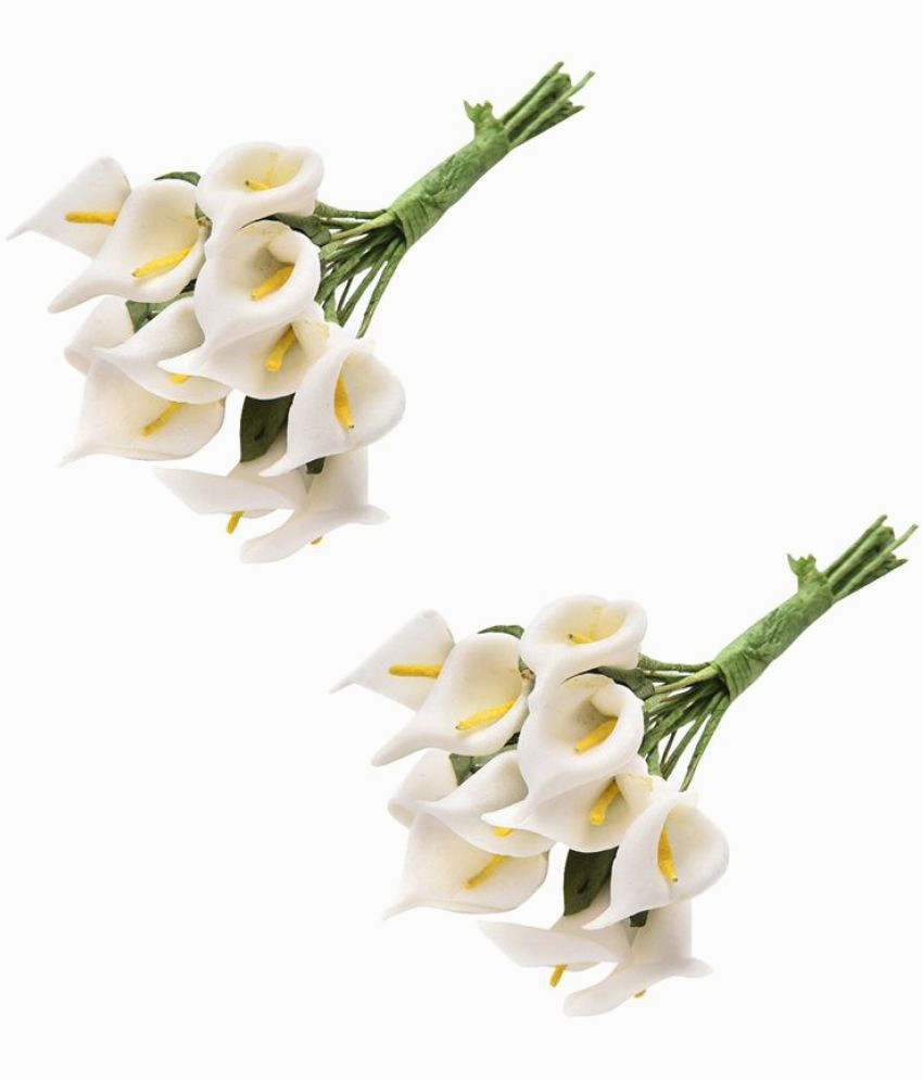 16 Fantastic Tulip Bulb Vase 2024 free download tulip bulb vase of 9 inspirational white bulb flowers graphics best roses flower throughout nema artificial 12 pcs lily calla flower bouquet white pack of