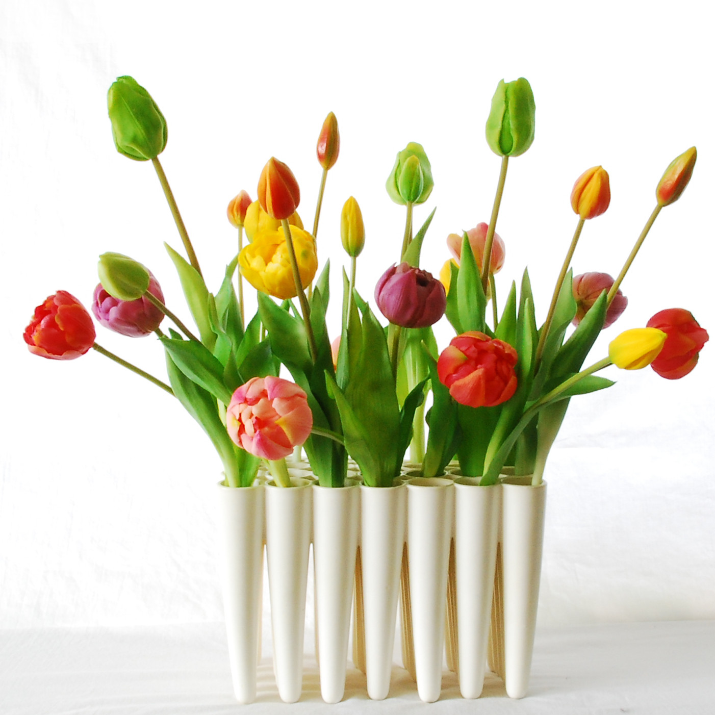 18 Awesome Tulip Vase Amsterdam 2024 free download tulip vase amsterdam of laurens van wieringen 5 x 7 tulip vase white flowerdutchess com regarding colourful bunch tulips wieringen tall
