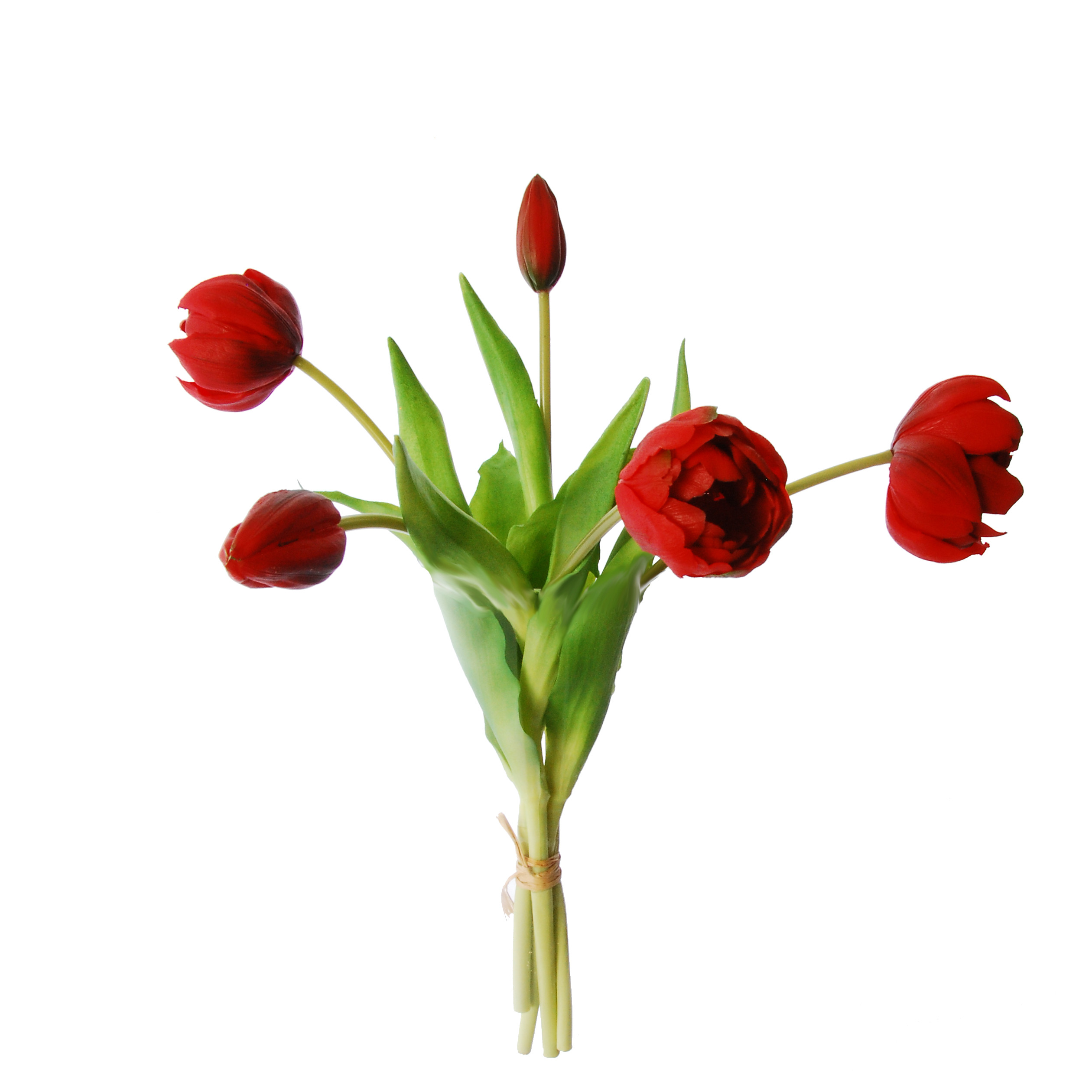 18 Awesome Tulip Vase Amsterdam 2024 free download tulip vase amsterdam of peony tulips in a bundle of 5 with a bud 37 cm red regarding red tulips in a bundle of 3 real touch