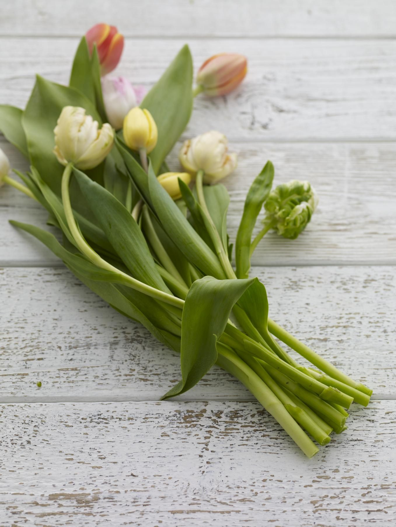 16 Lovely Tulip Vase Arrangements 2024 free download tulip vase arrangements of beautiful spring flower arrangements flowers flower arrangements in how to create beautiful spring flower arrangements