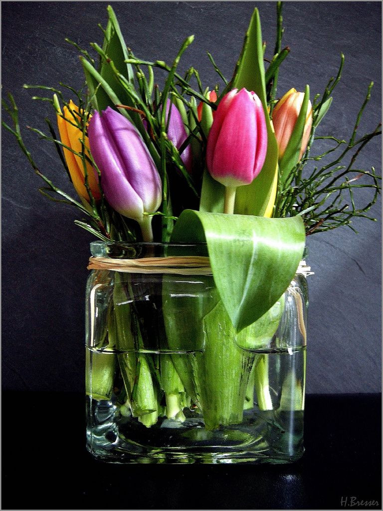 24 Best Tulip Vase for Sale 2024 free download tulip vase for sale of tulpen im glas flowers flower arrangements and flower throughout tulips in glas by h