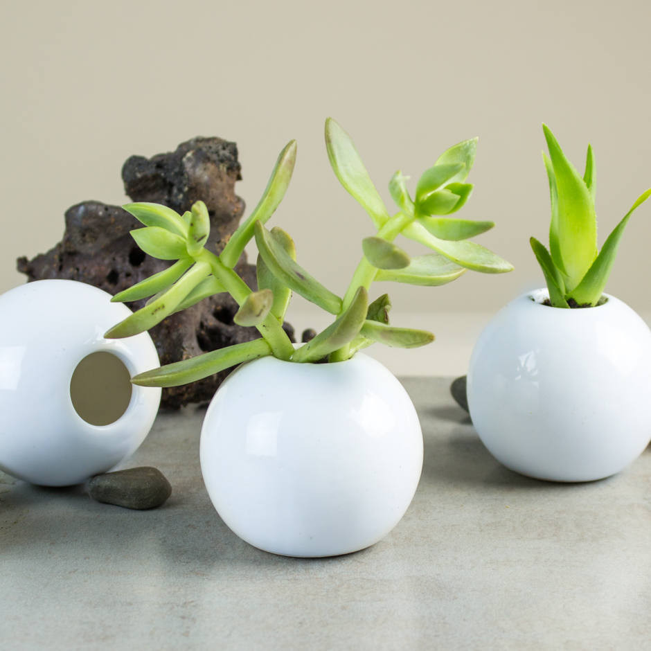 11 Trendy Unglazed White Ceramic Vase 2024 free download unglazed white ceramic vase of 2 mini succulent planters white modern ceramic planter round etsy throughout dc29fc294c28ezoom