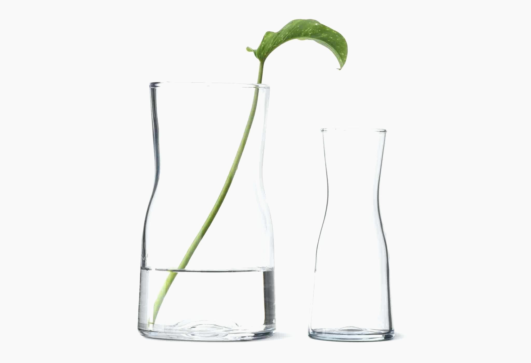 12 Stylish Unique Clear Glass Vases 2024 free download unique clear glass vases of 47 glass fireplace doors collection within new design ikea mantel wonderful cylinder vase clear glass pe s5h vases ikea the is