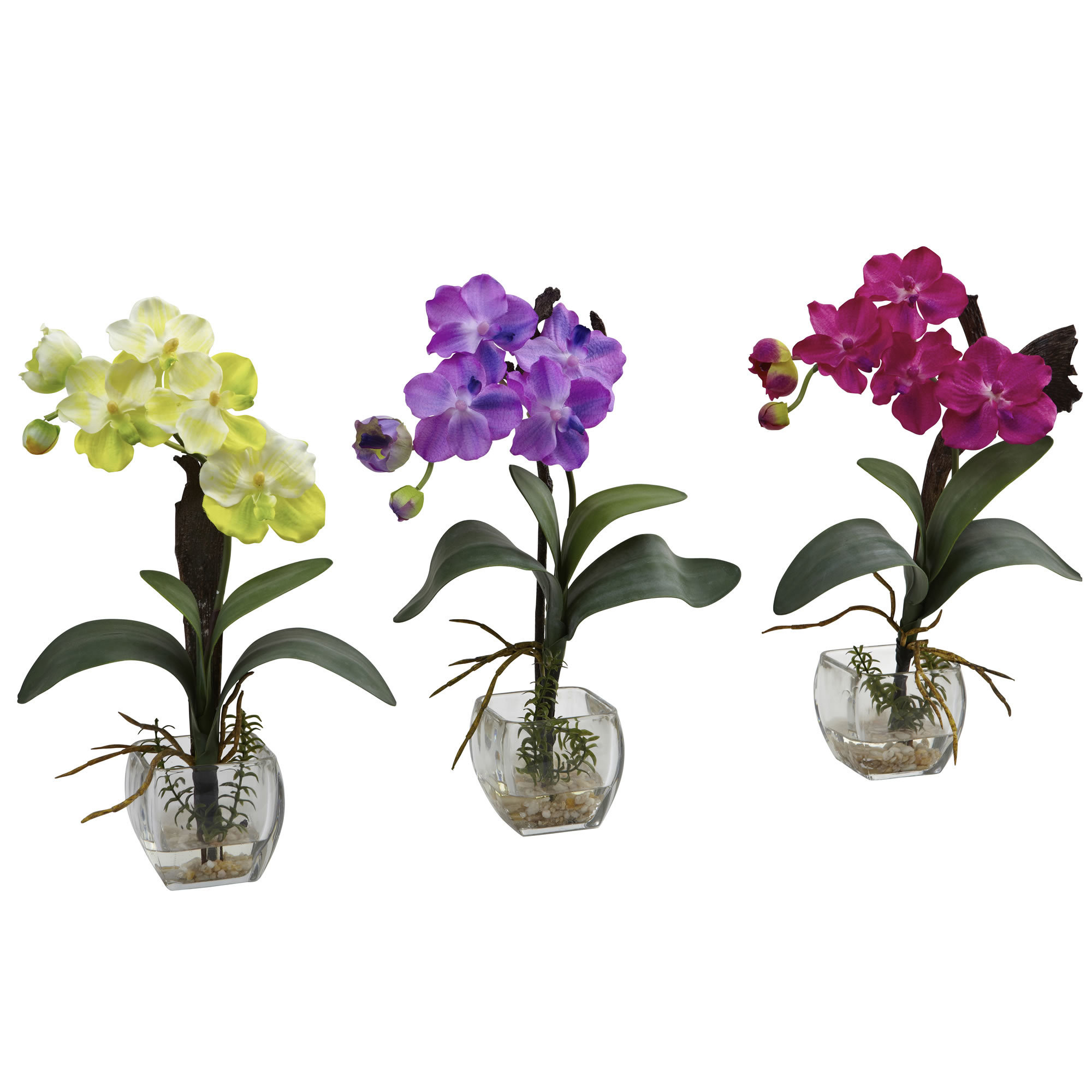 16 Stylish Vanda orchid Glass Vase Method 2024 free download vanda orchid glass vase method of alcott hill mini vanda orchid flowers wayfair throughout mini vanda orchid flowers