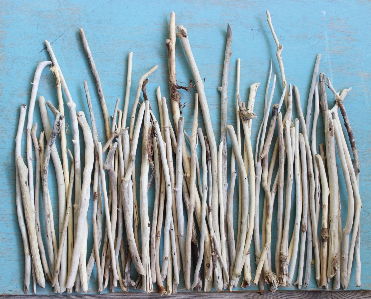 13 attractive Vase Fillers Sticks 2024 free download vase fillers sticks of large collection of 66 driftwood sticks branches collection to with regard to large collection of 66 driftwood sticks branches collection to create beach centerpieces 