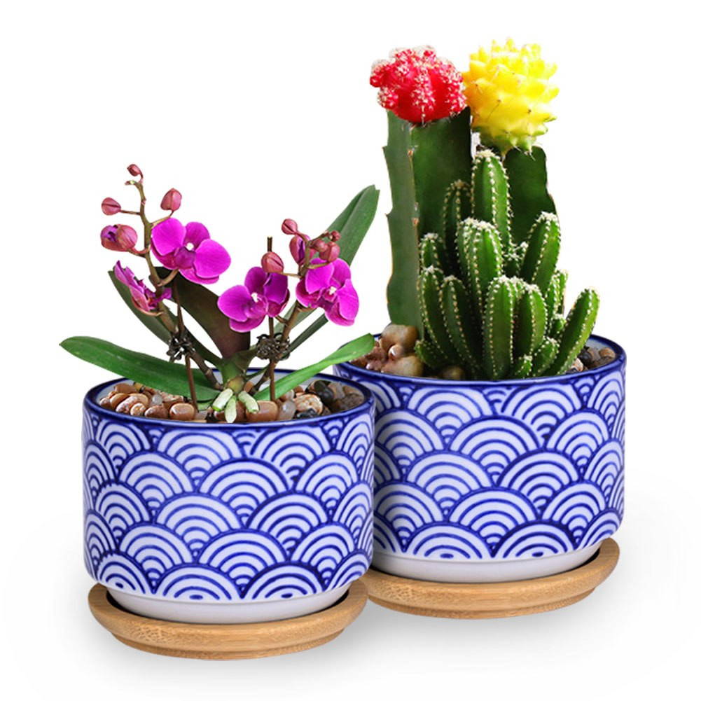 28 Fantastic Vase for Bamboo Plant 2024 free download vase for bamboo plant of wituse 2pcs ceramic flowerpot porcelain succulent plants flower pot with 2 x plant potswith bamboo tray