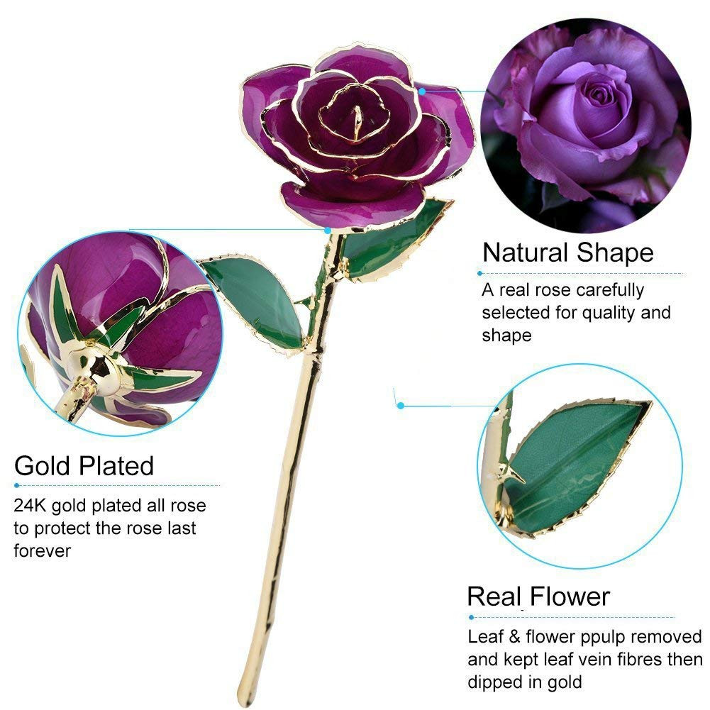 29 Perfect Vase for Gold Dipped Roses 2024 free download vase for gold dipped roses of amazon com qiaoniuniu purple gold rose for mom 24k gold dipped throughout amazon com qiaoniuniu purple gold rose for mom 24k gold dipped real rose in gift box b