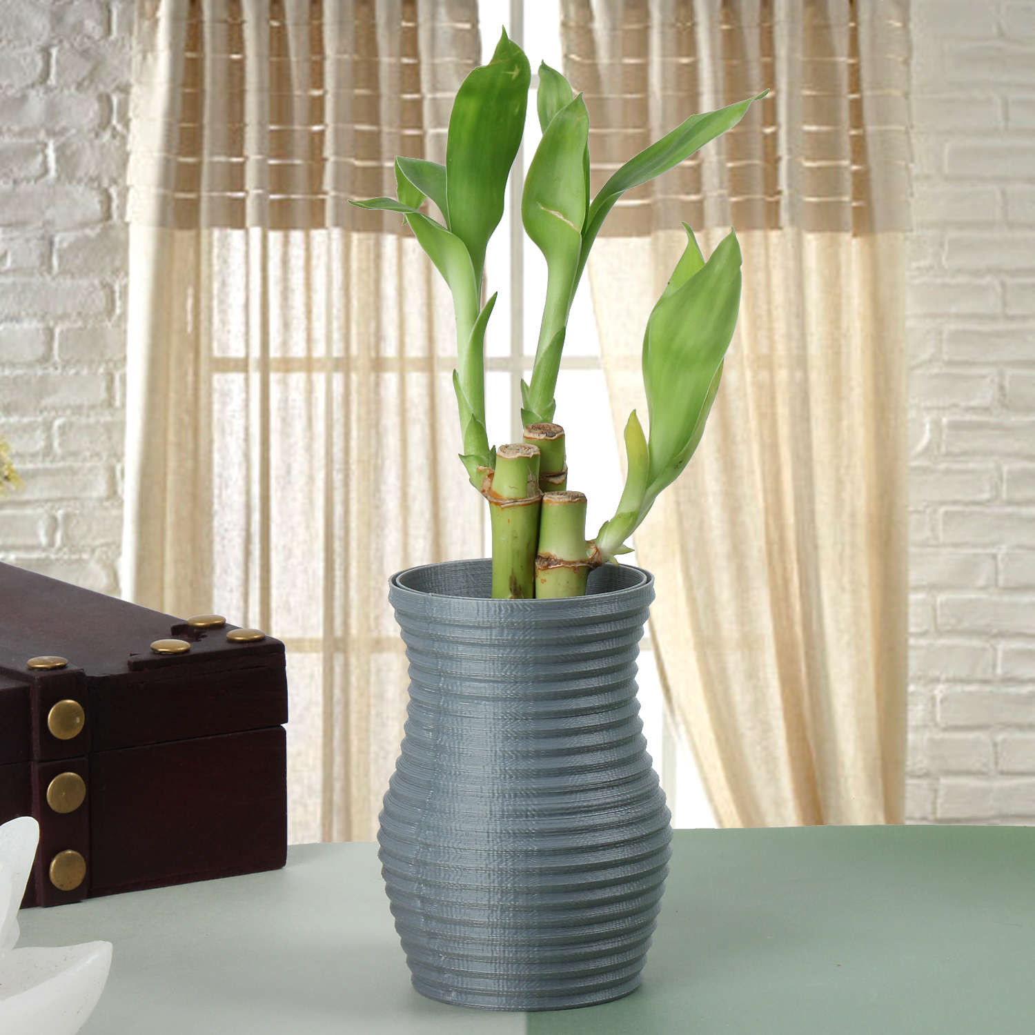 13 Lovable Vase for Lucky Bamboo Plant 2024 free download vase for lucky bamboo plant of order send flowers online send flowers to india in feel lucky bamboo plant479buy now