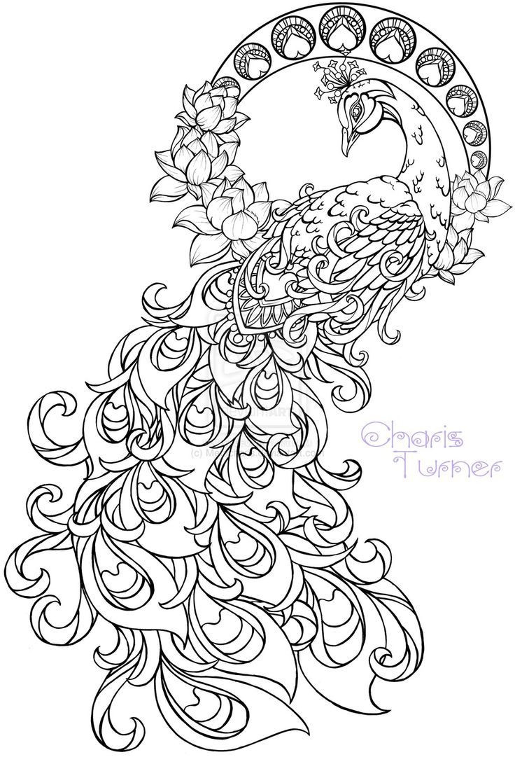 22 Fantastic Vase Of Flowers Art 2024 free download vase of flowers art of cool vases flower vase coloring page pages flowers in a top i 0d regarding free coloring pages to print out printable realistic peacock coloring pages free coloring pa