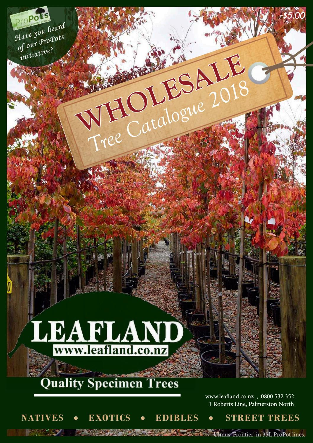 Vase Shaped Evergreen Shrubs Of Leafland 2018 Catalogue by Leafland Quality Specimen Trees issuu Throughout Page 1