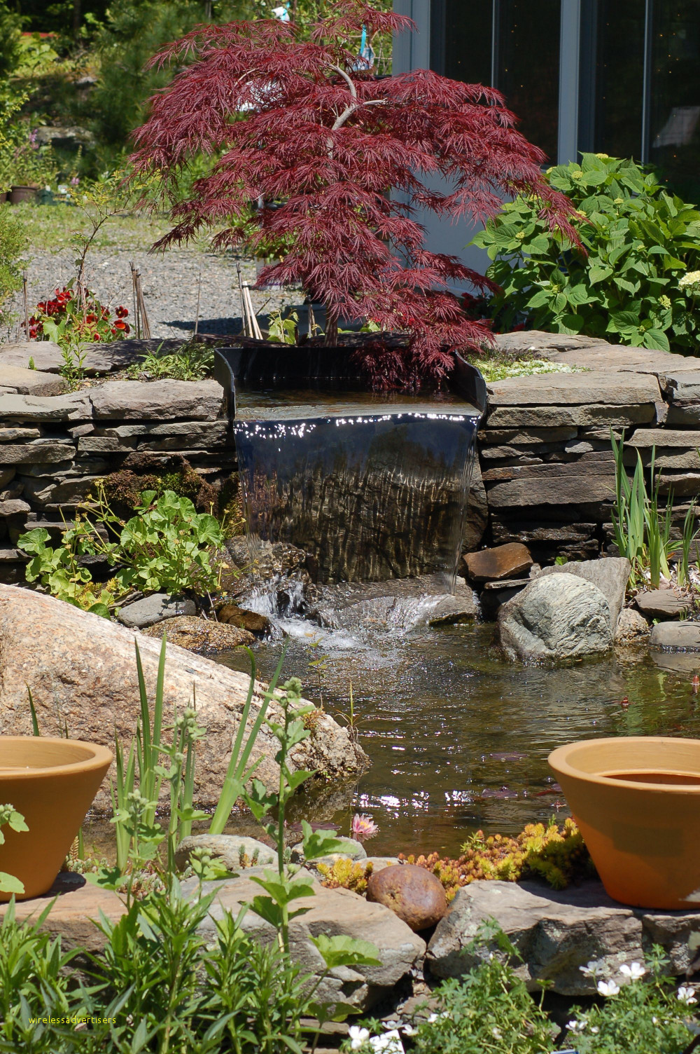 20 Spectacular Vase Water Fountain Outdoor 2024 free download vase water fountain outdoor of 30 best of small garden water feature construction in read all about crimson queen japanese maple at od fallfolia rees p crimson queen japanese maplem