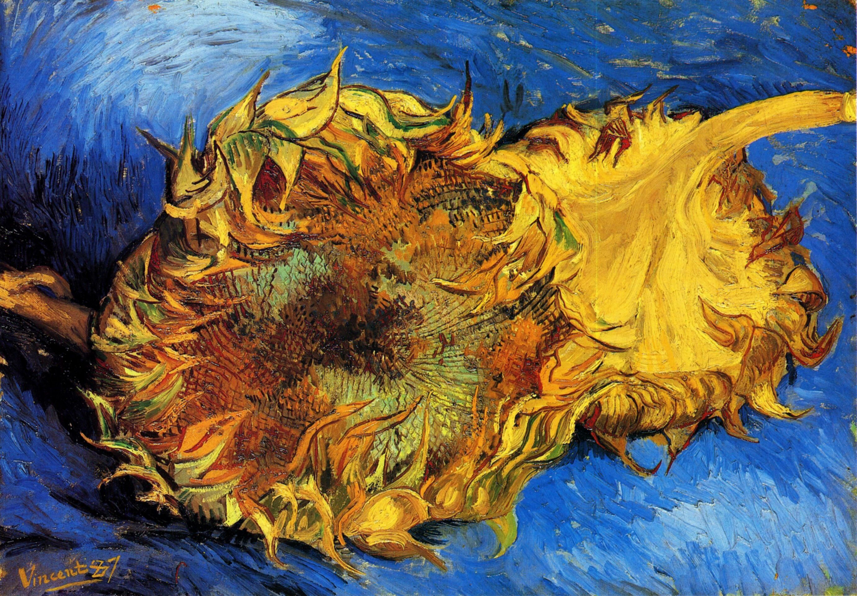 30 Unique Vase with Fifteen Sunflowers 2024 free download vase with fifteen sunflowers of sunflowers paintings van gogh gallery within two cut sunflowers