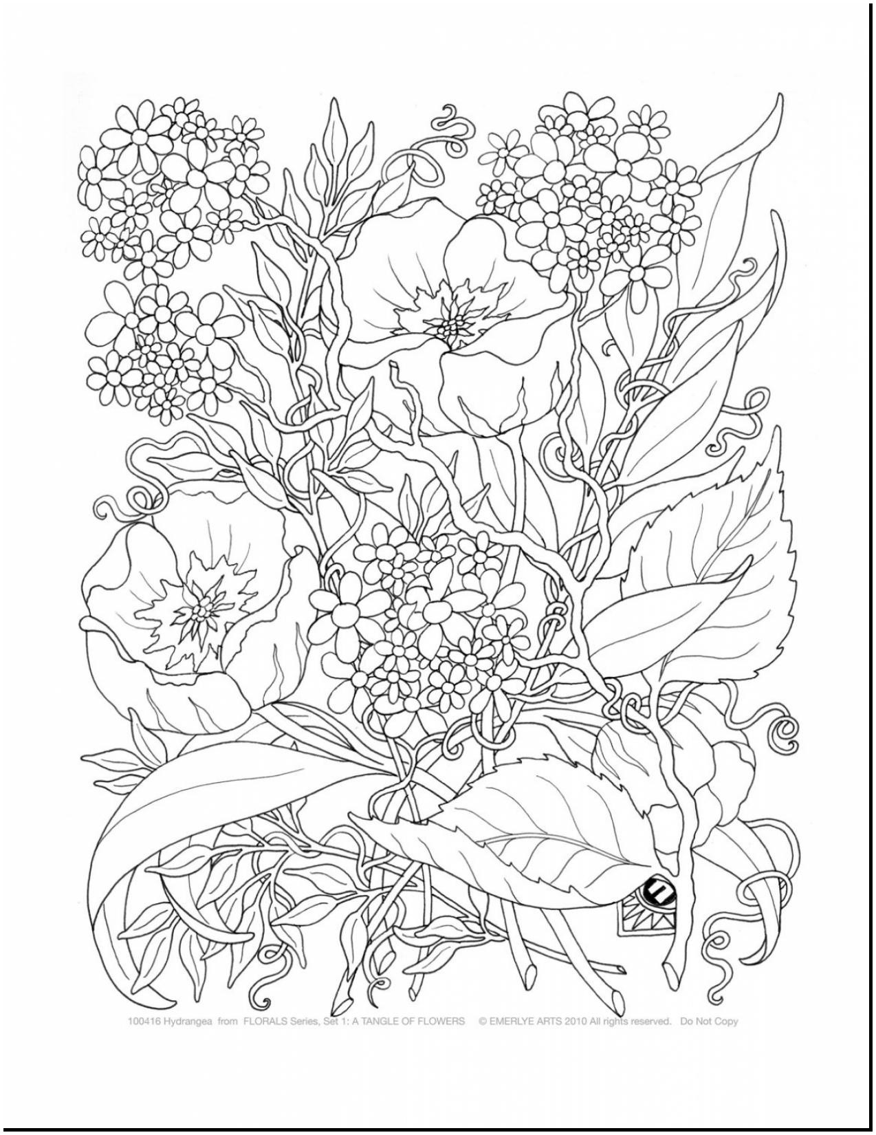 21 Unique Vase with Hydrangeas 2024 free download vase with hydrangeas of beautiful cool vases flower vase coloring page pages flowers in a intended for beautiful cool vases flower vase coloring page pages flowers in a printable adult color