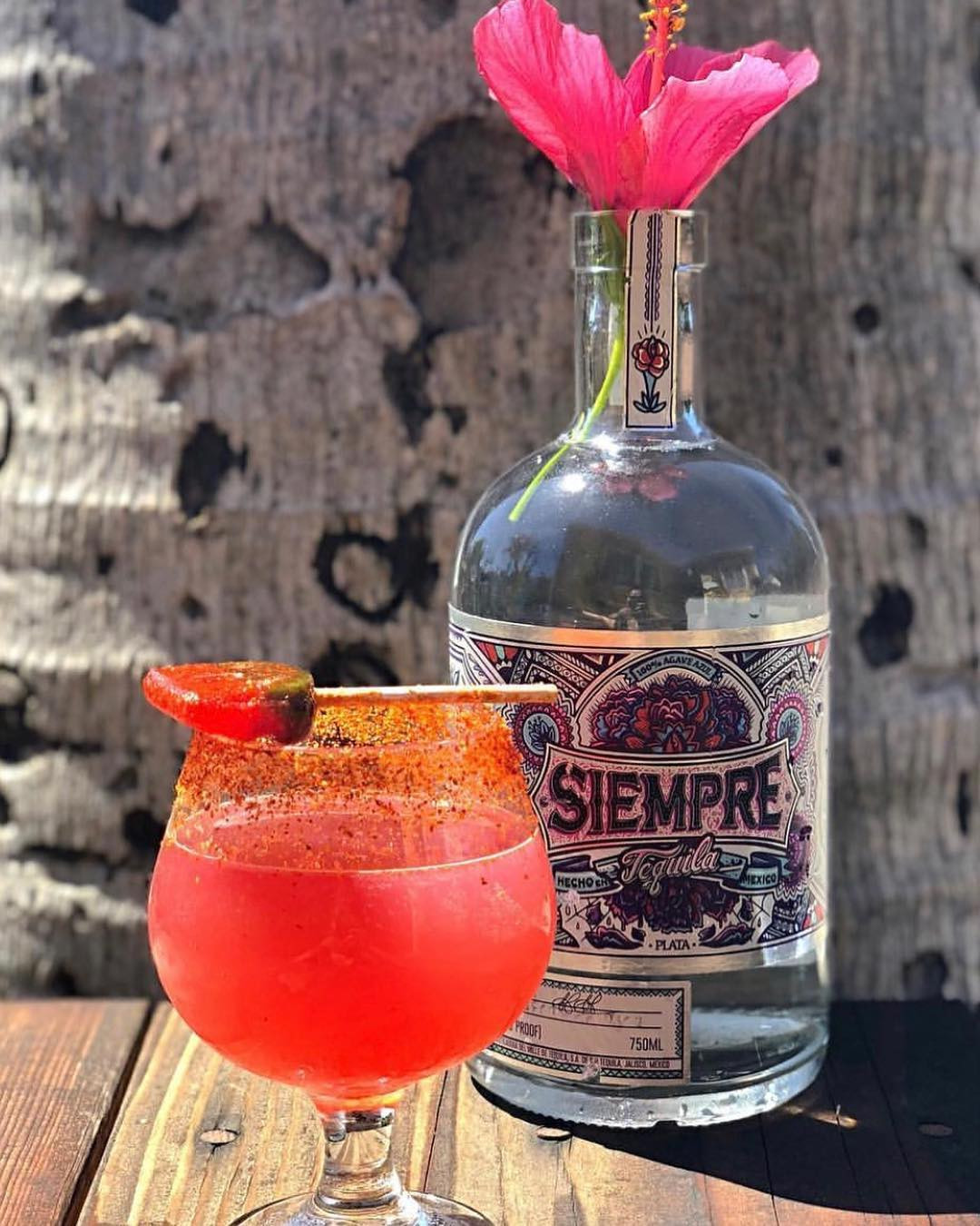 29 Awesome Vidrios San Miguel Recycled Glass Vase 2024 free download vidrios san miguel recycled glass vase of calimixers pictures jestpic com pertaining to siempretequila calimixers joins the line up for the margaritas y mas festival san diego 18 saturday se