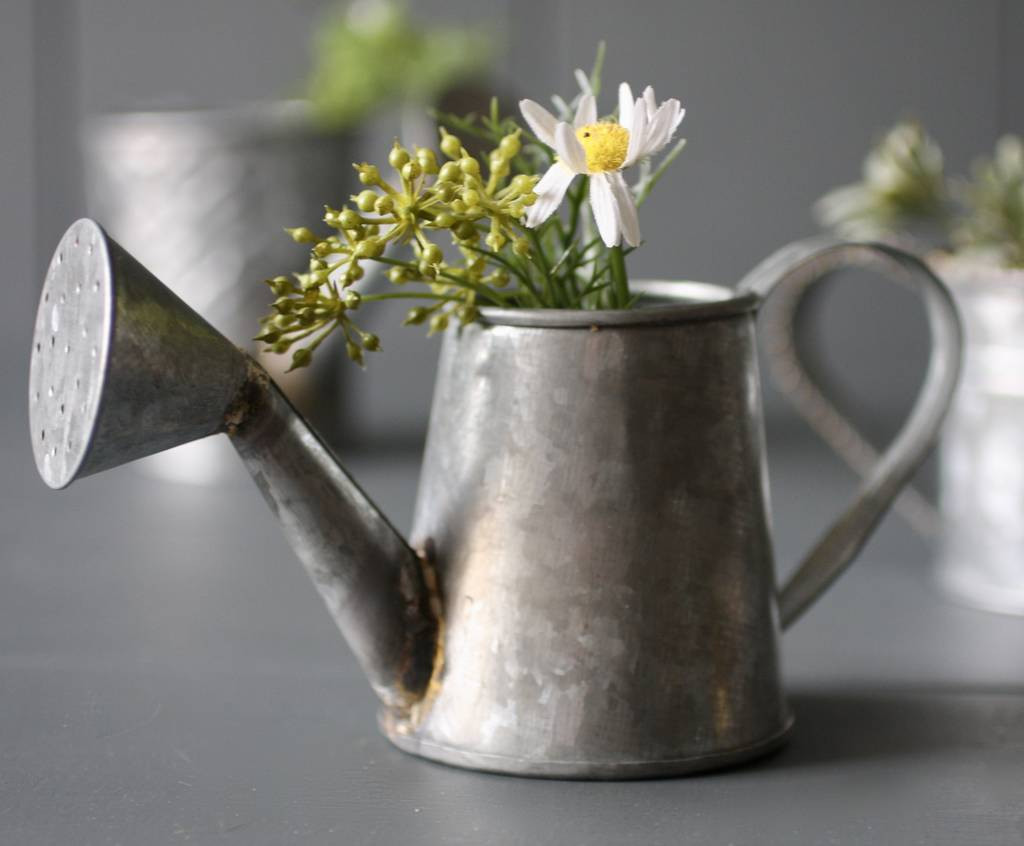 18 Unique Watering Can Vase Metal 2024 free download watering can vase metal of zinc watering can planters by london garden trading for zinc watering can planters