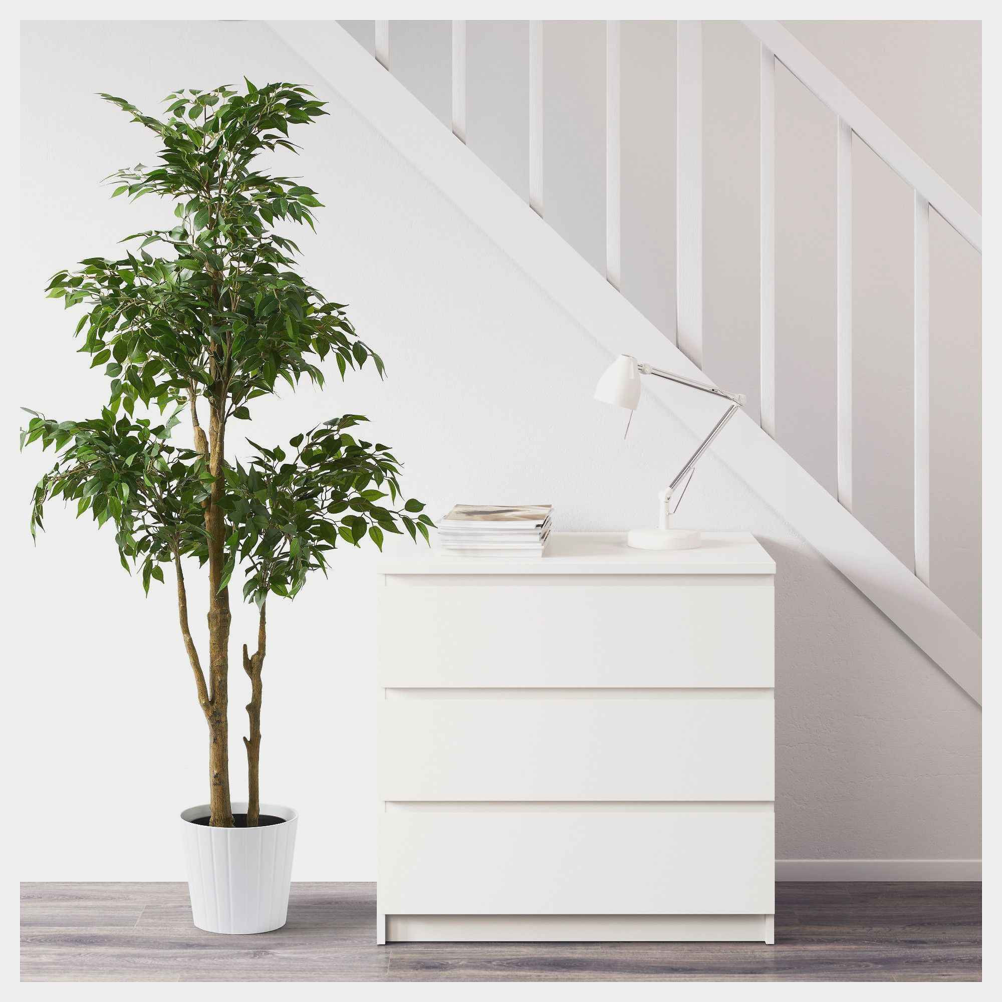 29 Popular Weeping Gold Vase 2024 free download weeping gold vase of beautiful ikea faux plants plant directory throughout ikea fejka artificial potted plant weeping fig assorted 21 cm lifelike artificial plant that remain just