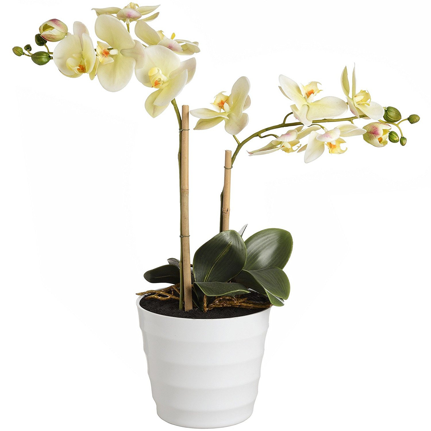 where to buy silver vase orchids of cheap opal orchid find opal orchid deals on line at alibaba com intended for get quotations a· hill interiors opal white potted artificial orchid one size white