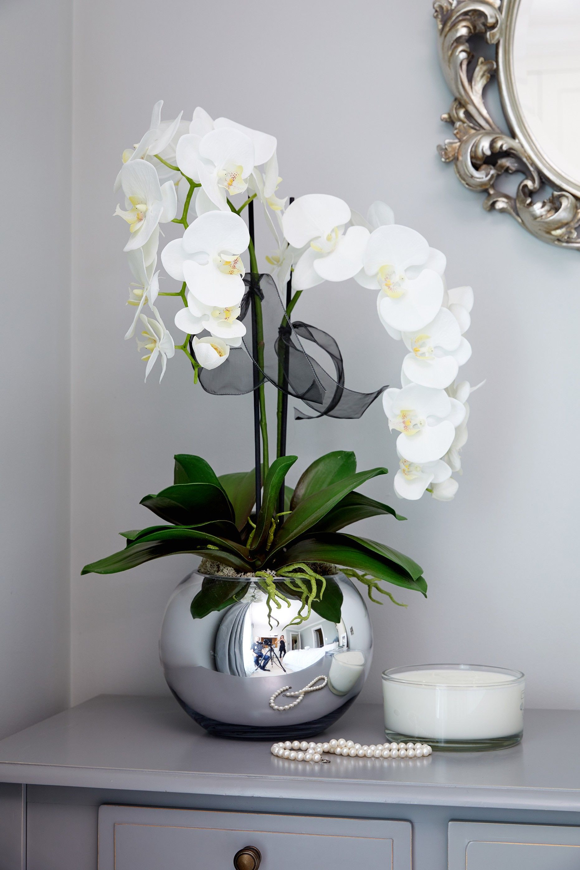 12 Popular where to Buy Silver Vase orchids 2024 free download where to buy silver vase orchids of orchids in a silver goldfish bowl accessories pinterest regarding orchids in a silver goldfish bowl