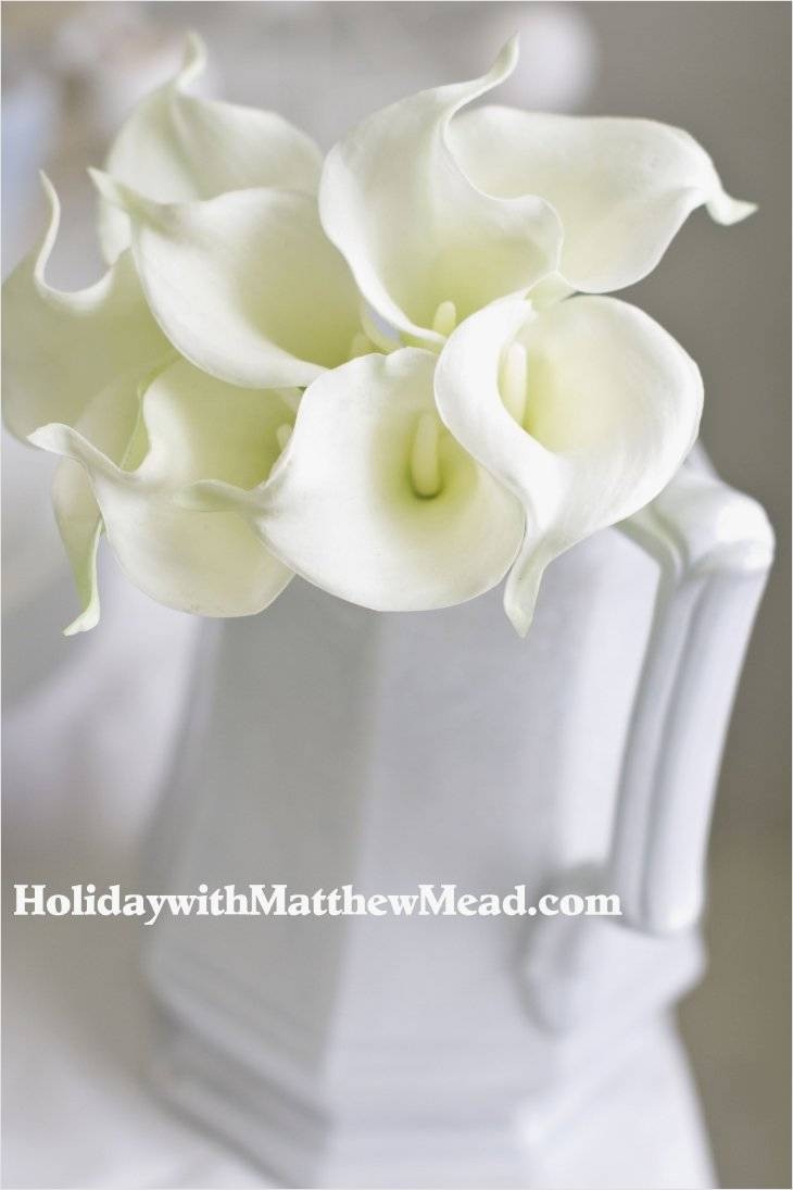 23 Elegant White Calla Lilies In Vase 2024 free download white calla lilies in vase of famous ideas on calla lily vase for best home interior design or with fresh ideas on calla lily vase for use good living room designs this is so beautifully cal