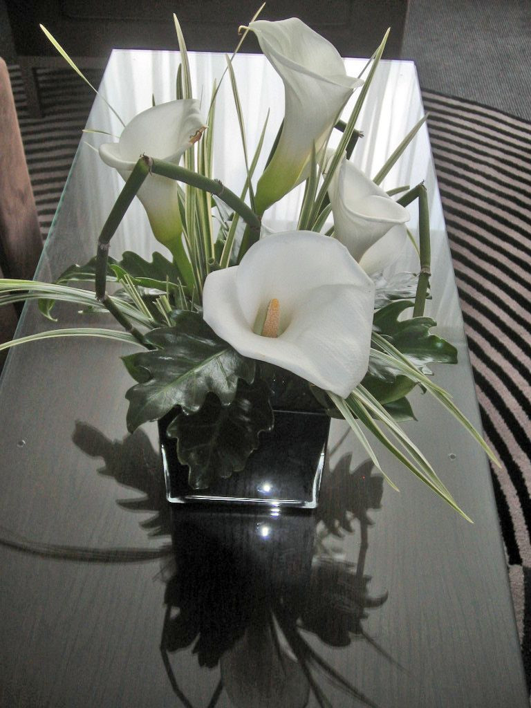 23 Elegant White Calla Lilies In Vase 2024 free download white calla lilies in vase of t73 arum lily and china grass oldacre compilation of small regarding t73 arum lily and china grass oldacre