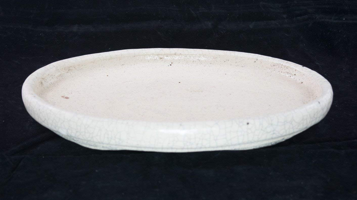 White Ceramic Owl Vase Of Amazon Com Oval Suiban Tray for Saikei Bonseki and Suiseki 13x Throughout Amazon Com Oval Suiban Tray for Saikei Bonseki and Suiseki 13x 8 5x 1 5 Light Gray Garden Outdoor