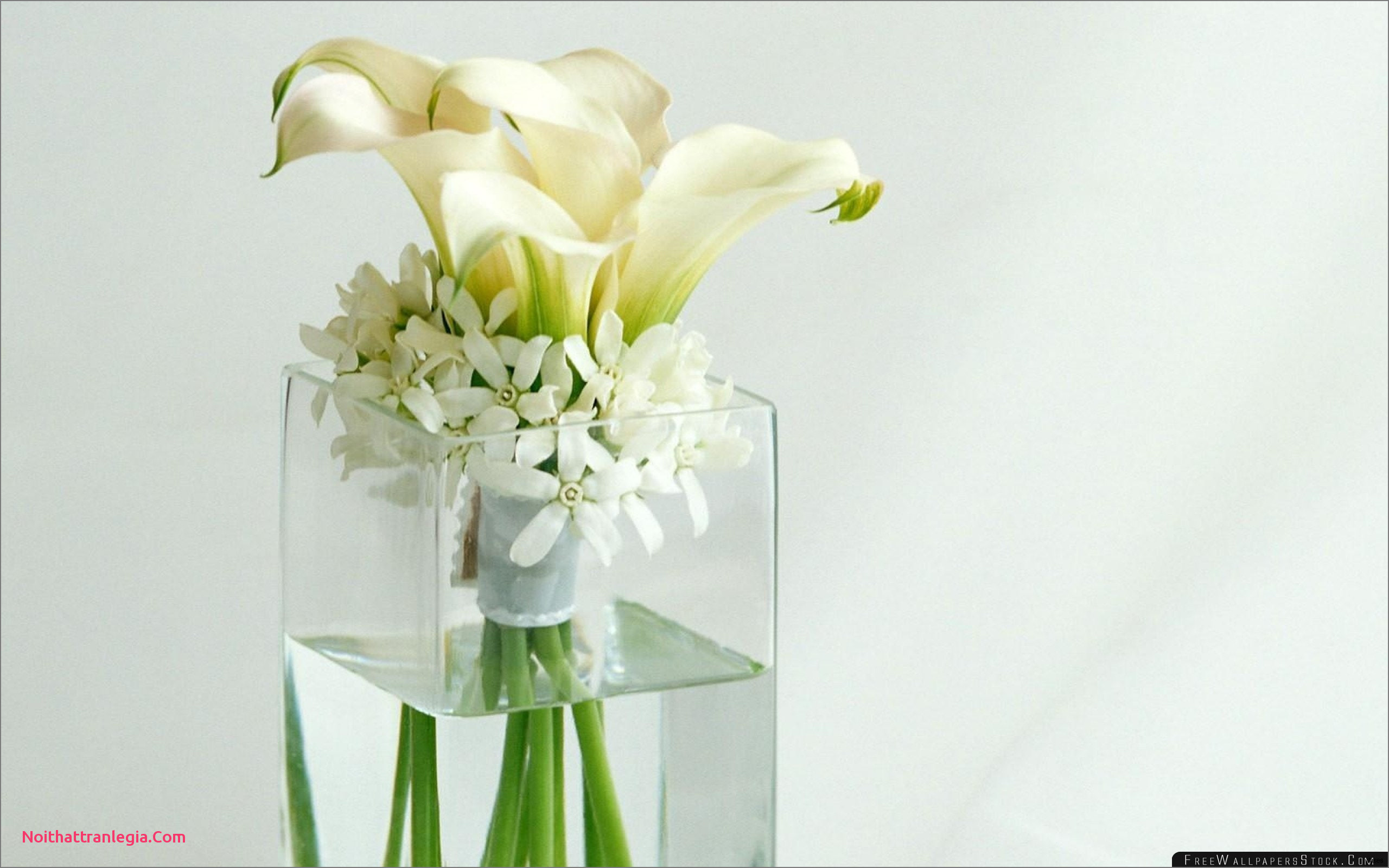 13 attractive White Floor Vase with Flowers 2023 free download white floor vase with flowers of 20 how to clean flower vases noithattranlegia vases design inside tall green vase collection tall vase centerpiece ideas vases flowers in water 0d artificial