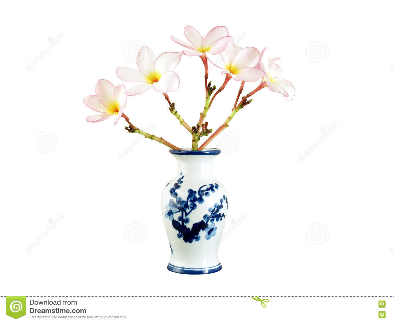 30 attractive White Flower Vases for Sale 2022 free download white flower vases for sale of beautiful bouquet light pink plumeria or frangipani in white chinese within beautiful bouquet light pink plumeria or frangipani in white chinese vase with blue