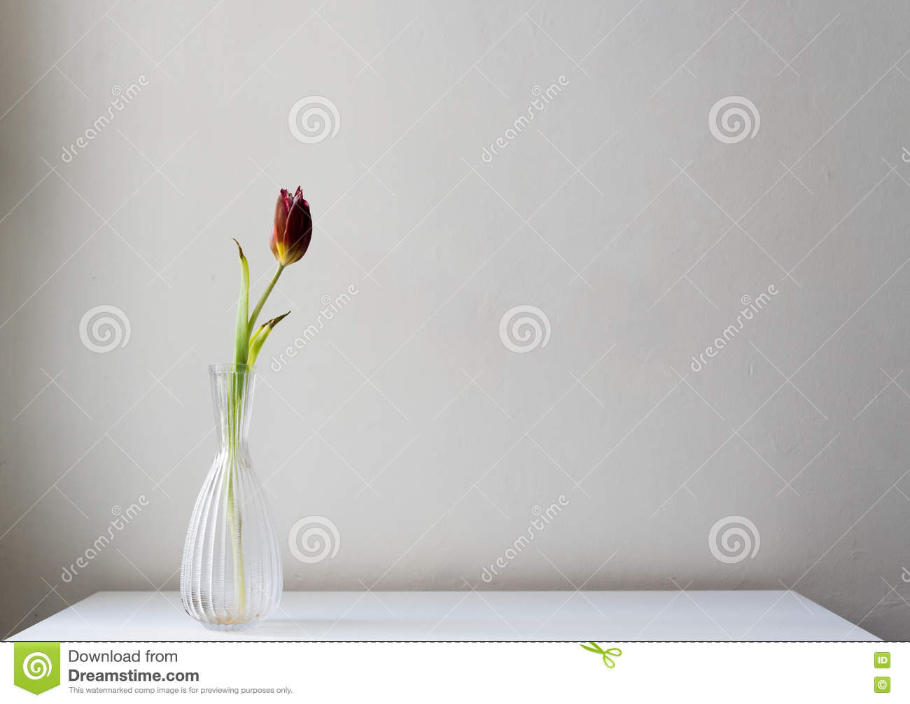 13 Popular White Glass Bowl Vase 2024 free download white glass bowl vase of dying dark red tulip in glass vase stock image image of neutral pertaining to dying dark red tulip in glass vase on white table against neutral wall