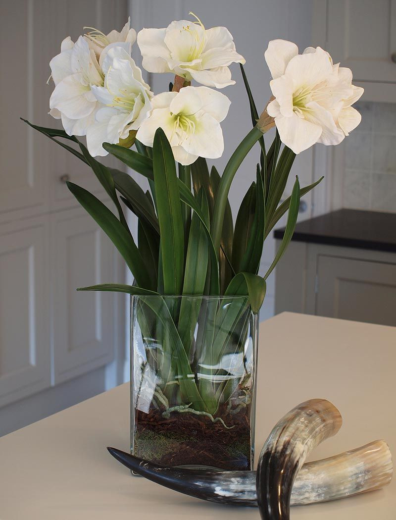 16 Trendy White Glass Cube Vase 2024 free download white glass cube vase of amaryllis in tall glass cube white rtfact artificial silk with regard to amaryllis in tall glass cube white rtfact artificial silk flowers orchid vase
