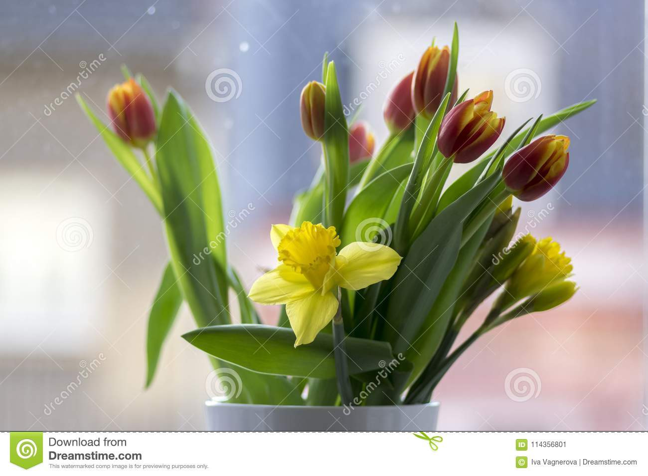 15 Stylish White Tulips In Glass Vase 2024 free download white tulips in glass vase of detail of tulips and daffodils bouquet ornamental spring flowers within detail of tulips and daffodils bouquet ornamental spring flowers yellow red flower heads