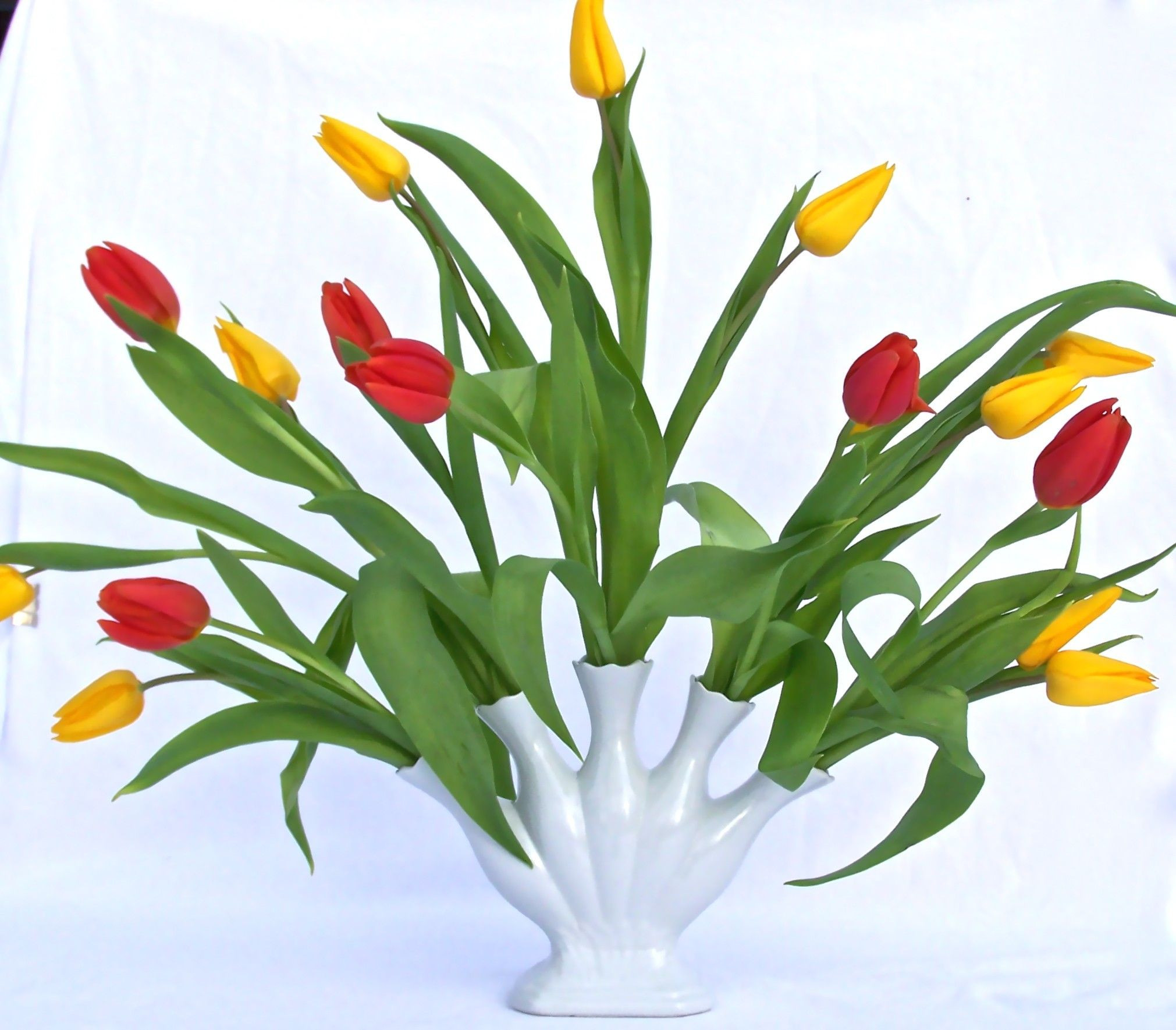 15 Stylish White Tulips In Glass Vase 2024 free download white tulips in glass vase of fine white china tulipiere five finger fan flower vase gifts for fine white china tulipiere five finger fan flower vase