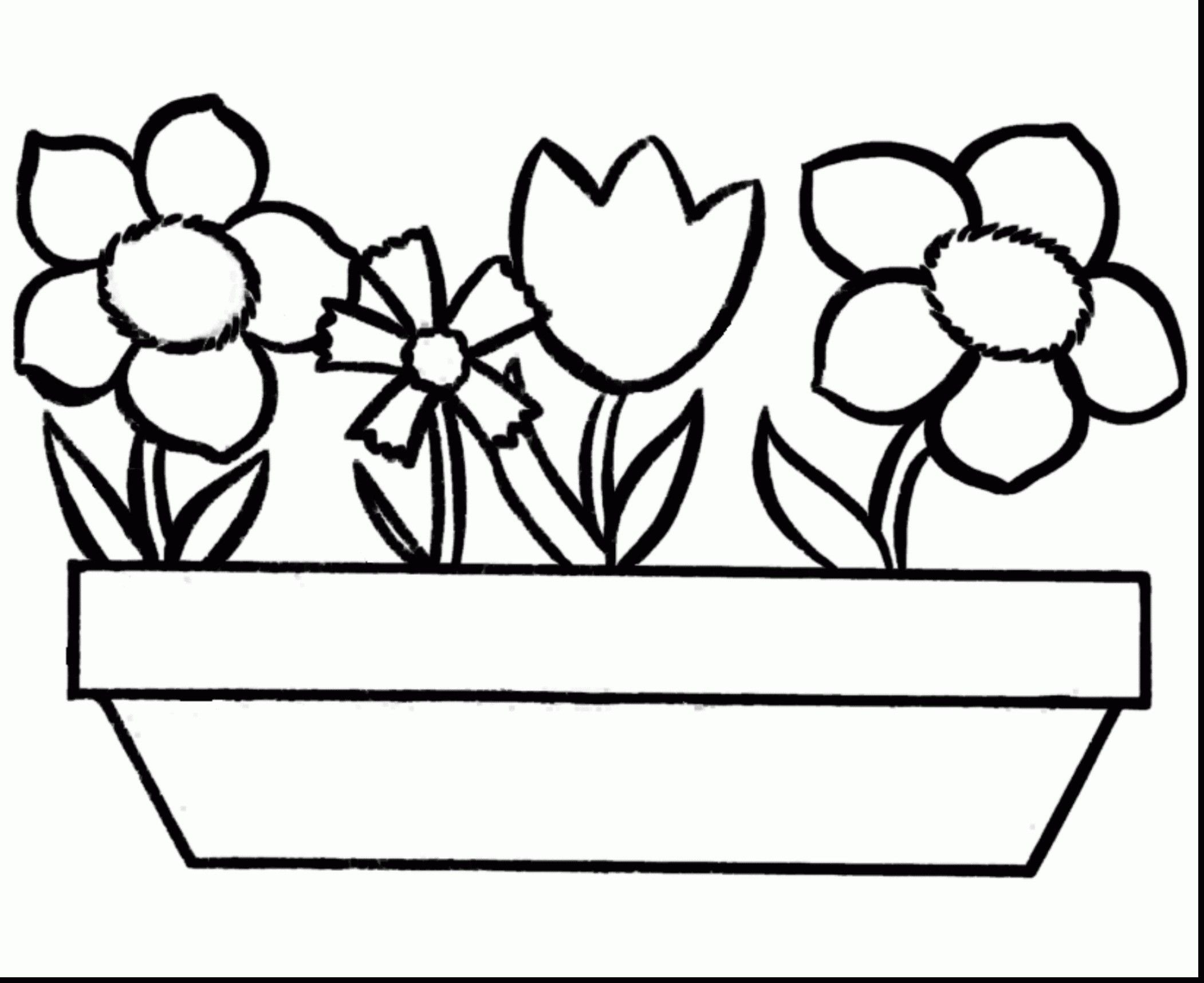 15 Stylish White Tulips In Glass Vase 2024 free download white tulips in glass vase of tulip bulb vase fresh coloring pages roses vases flower vase throughout tulip bulb vase fresh coloring pages roses vases flower vase coloring page pages